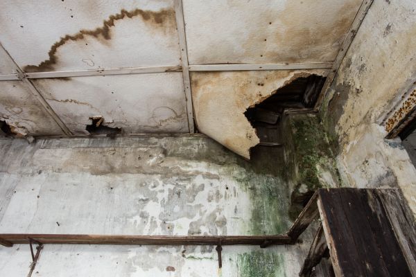 Water Damage Service in League City