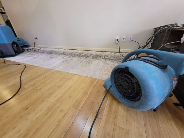 Water Damage Mitigation in League City