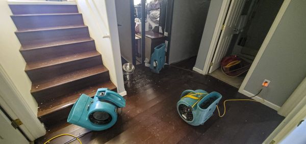 Water Damage Remediation in League City